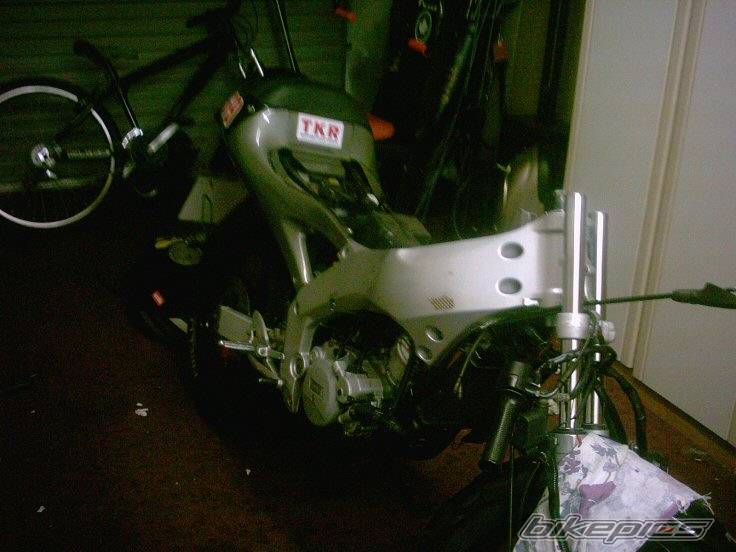 Photo 245149