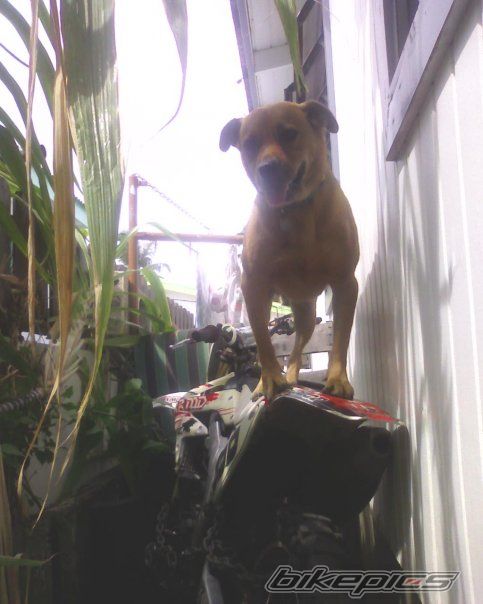 Photo 2451574