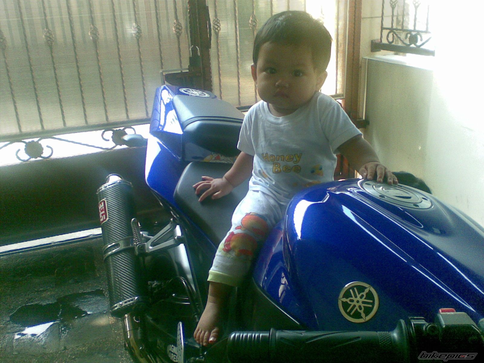 Photo 2451586