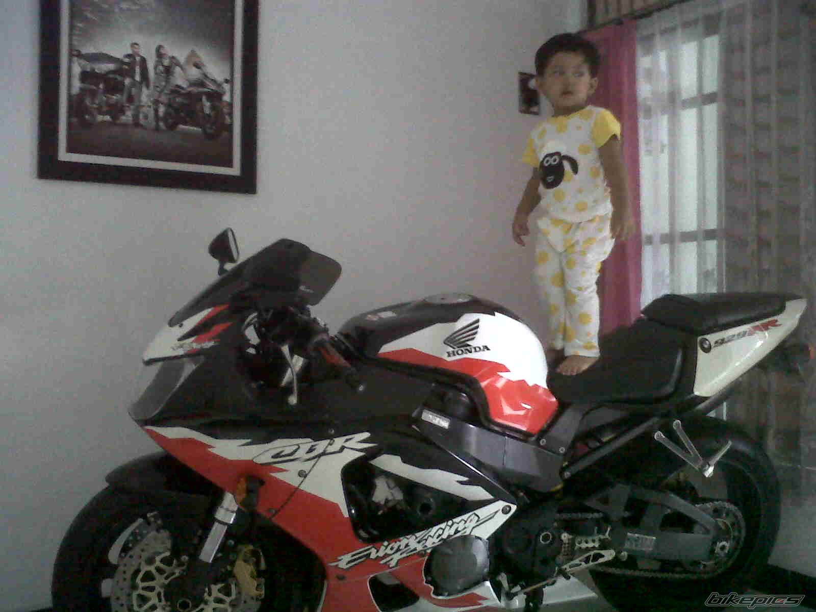 Photo 2451588