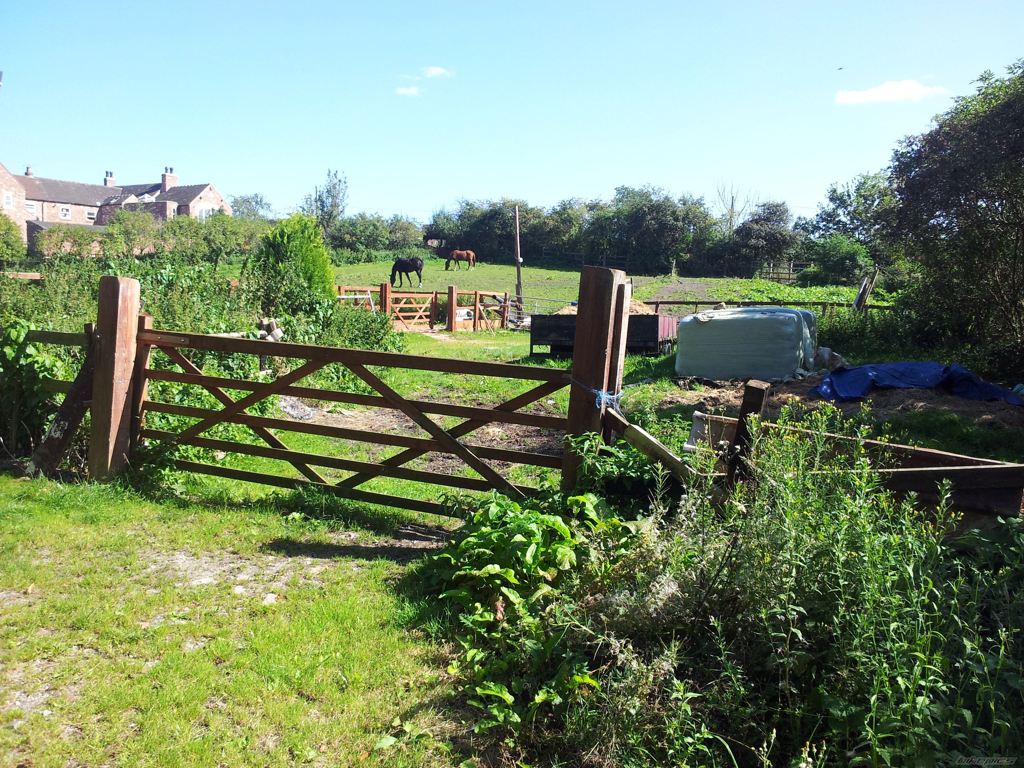 Photo 2451691