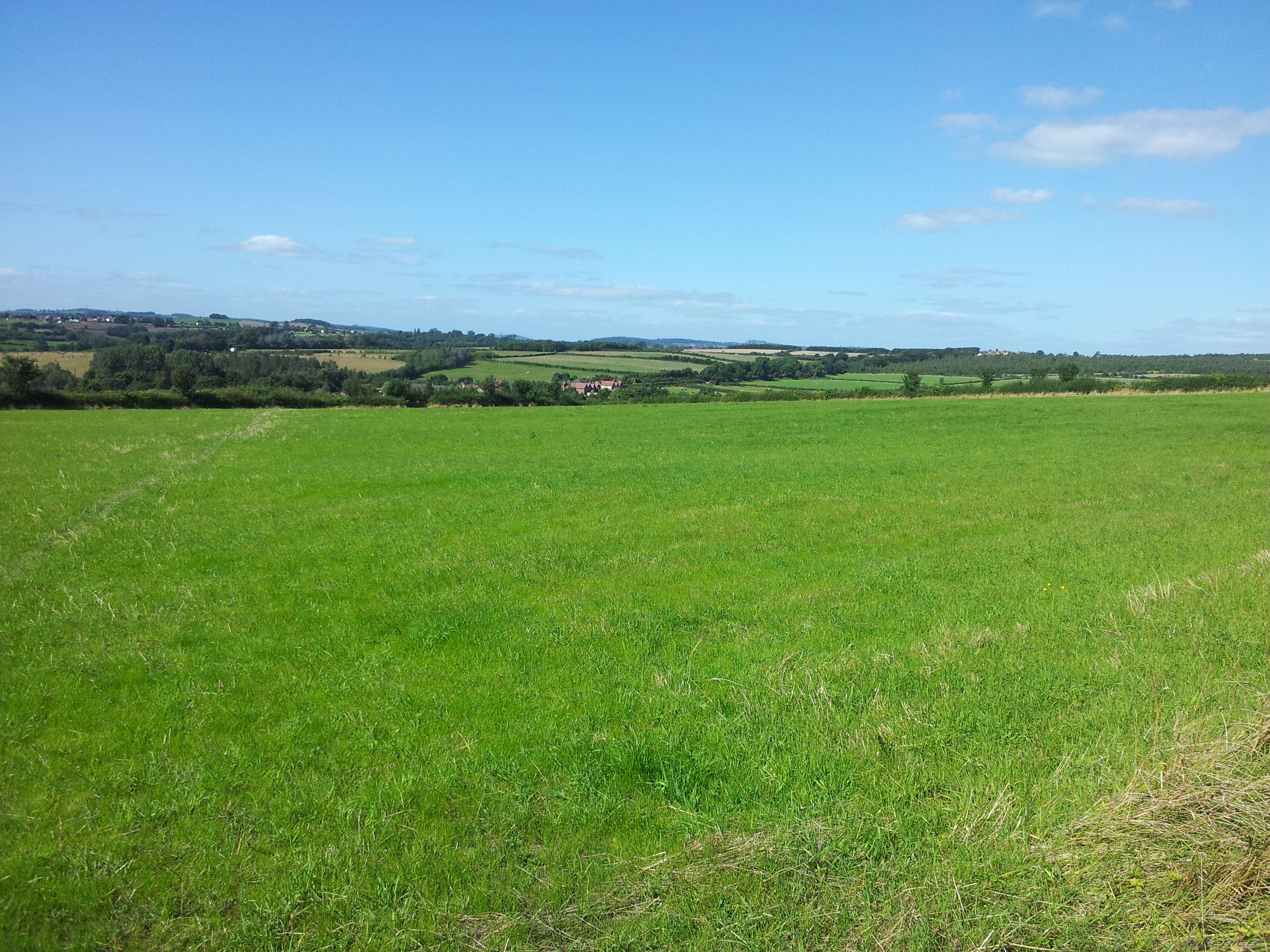 Photo 2451693
