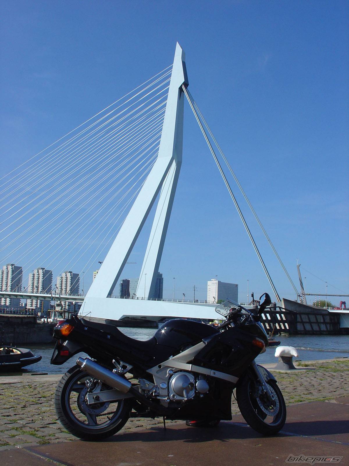 Photo 245179