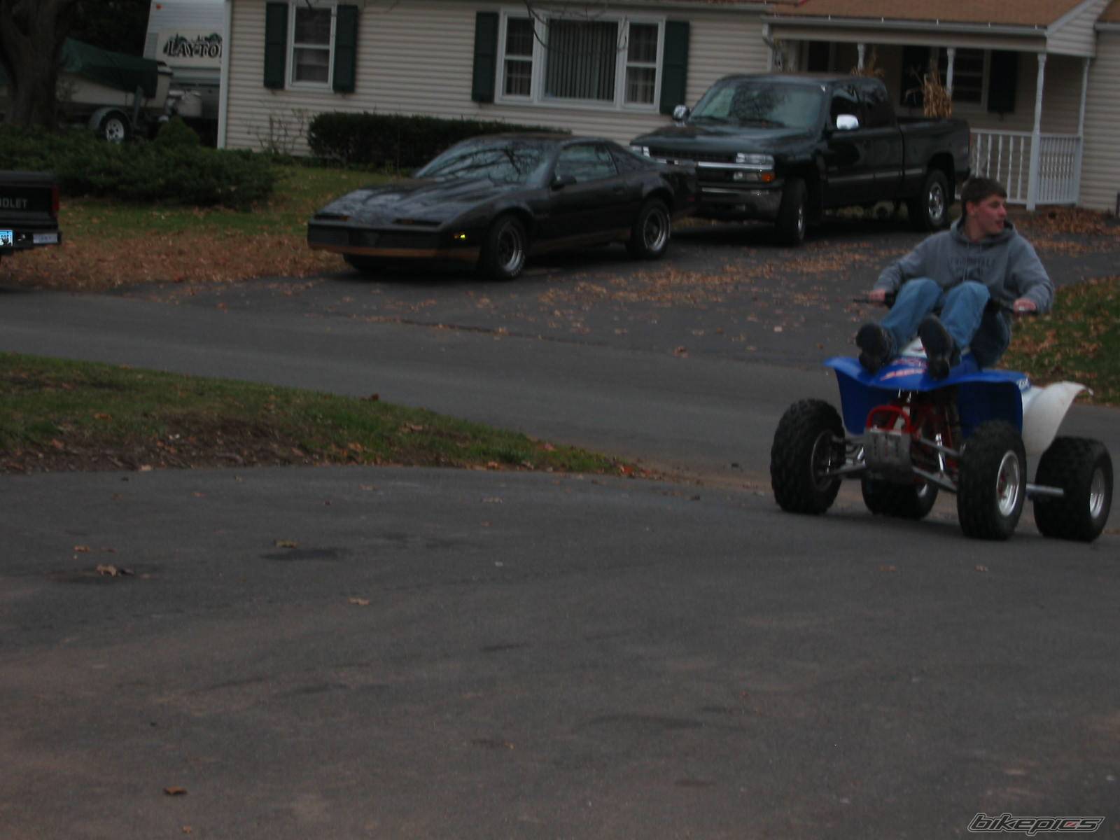 Photo 245184