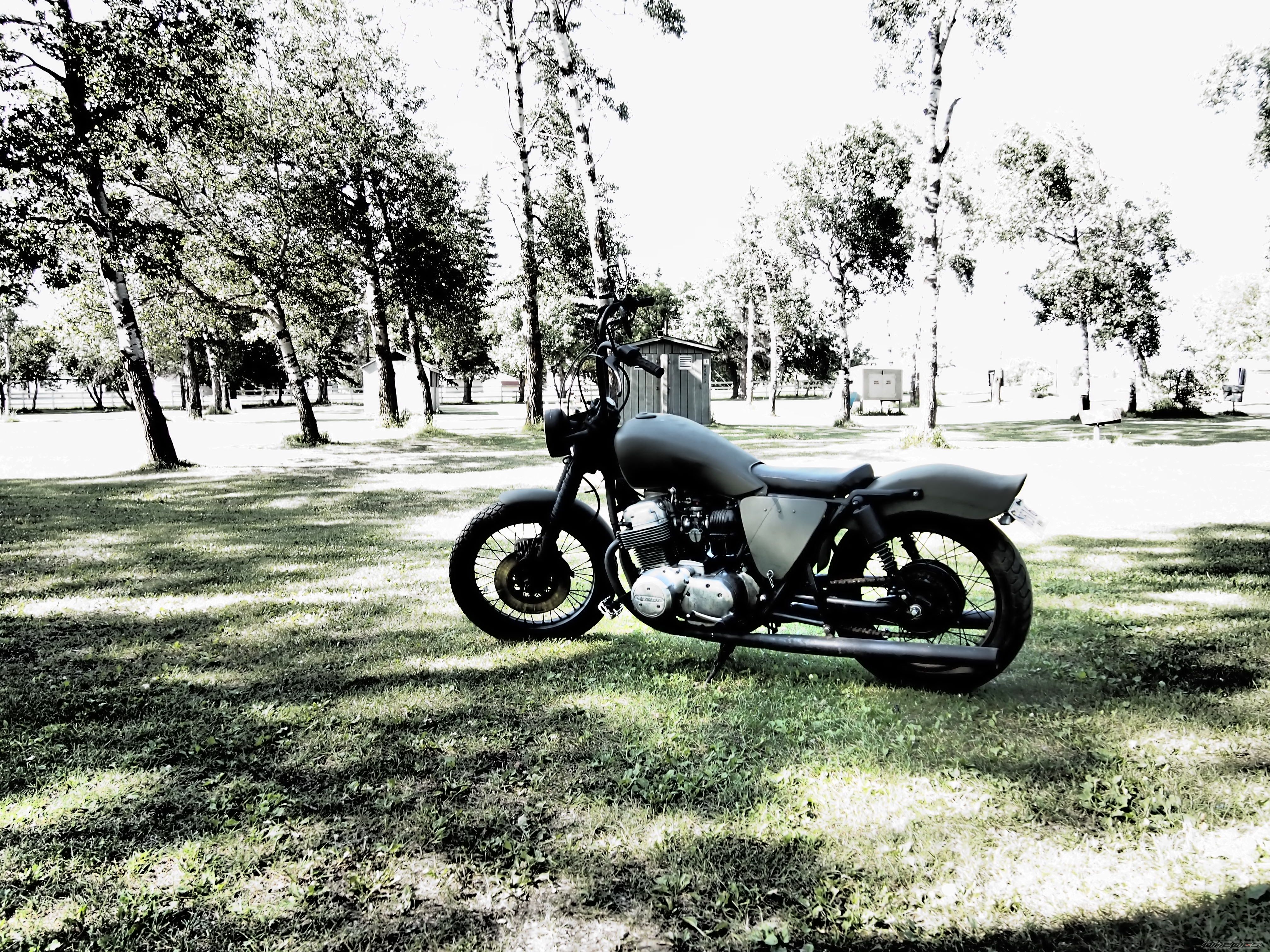 Photo 2451863