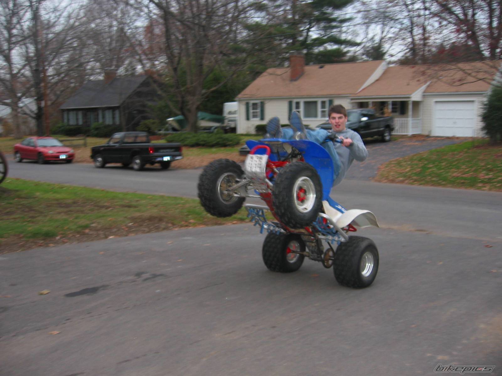 Photo 245187