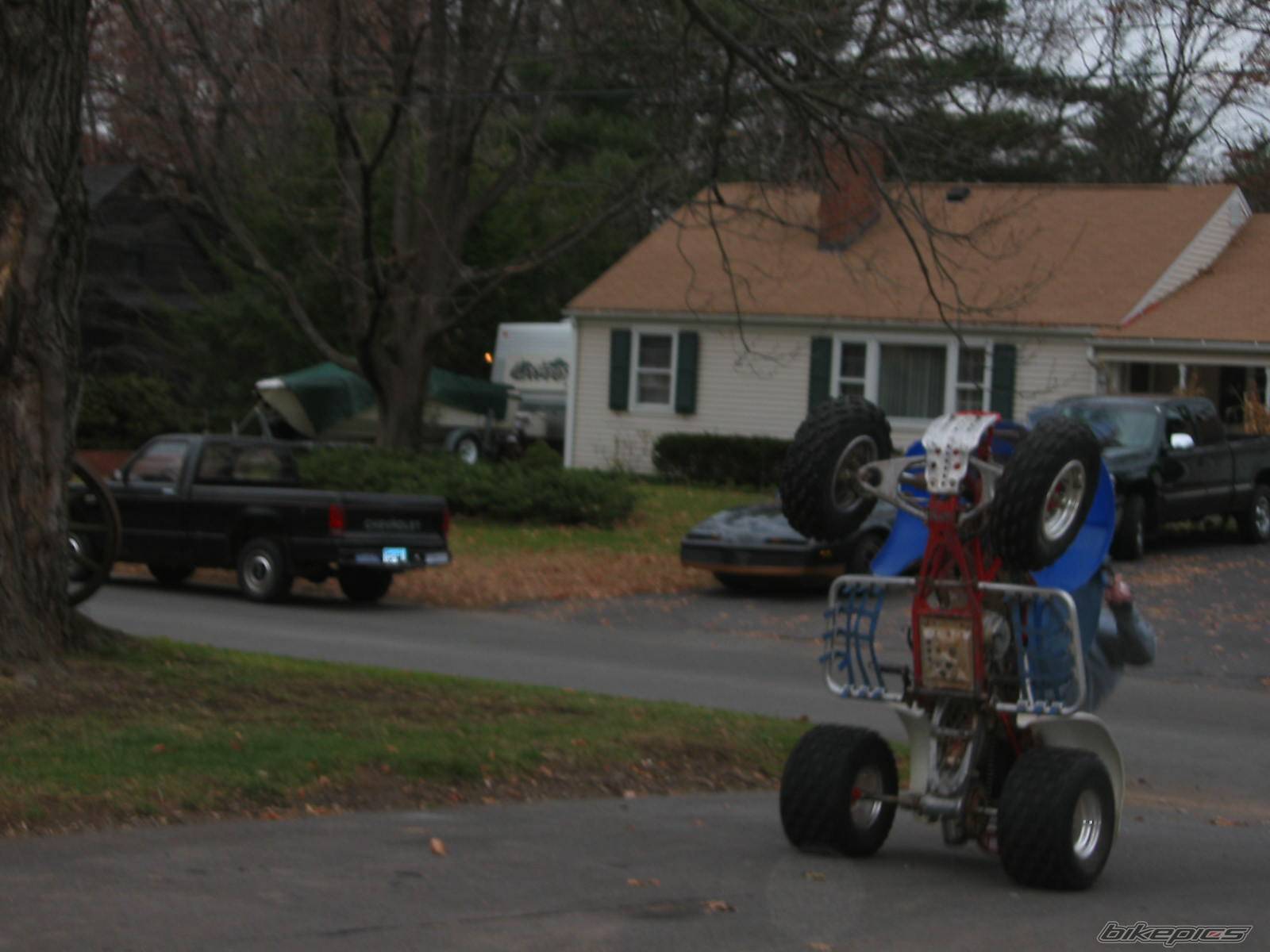 Photo 245189