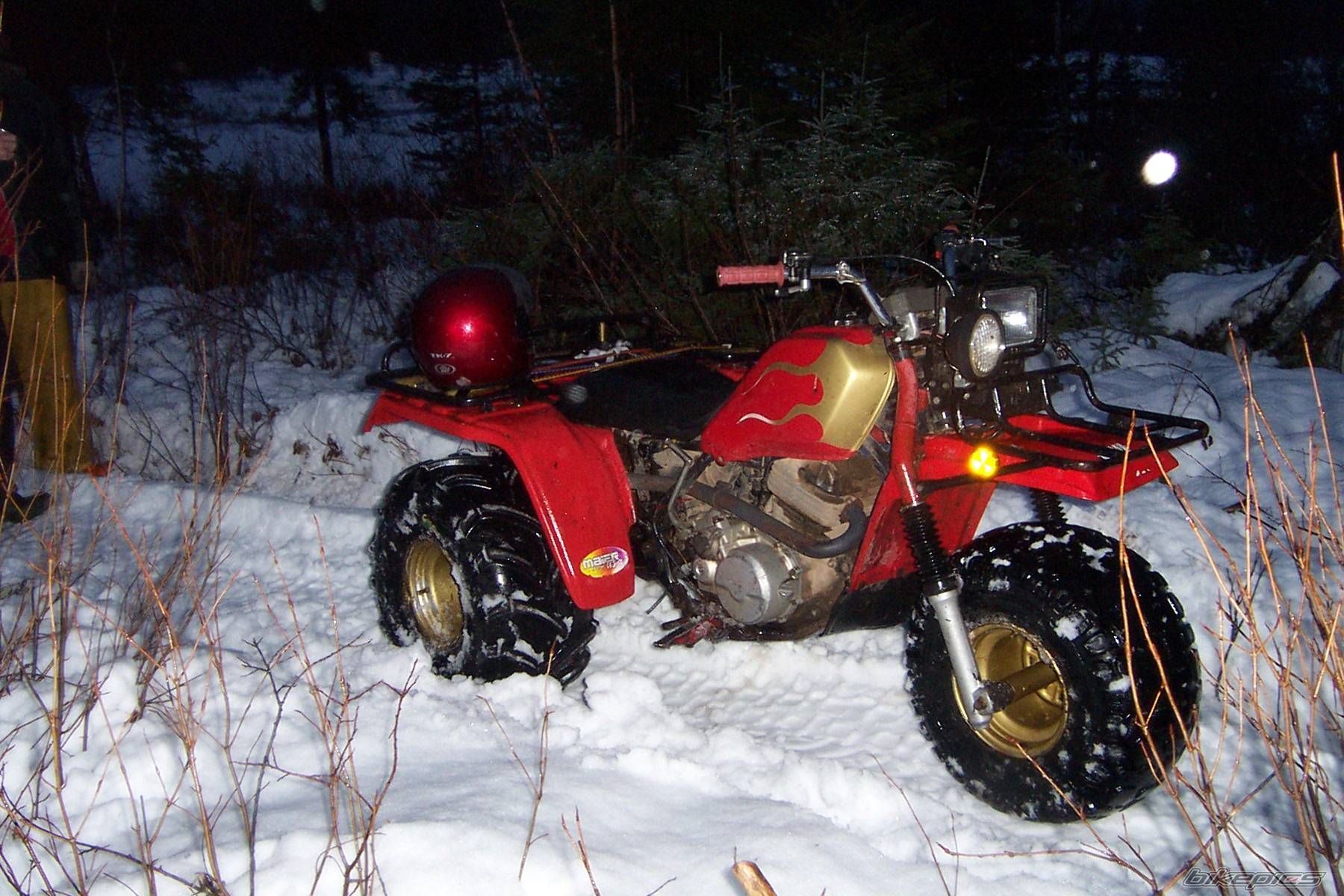 Photo 245191