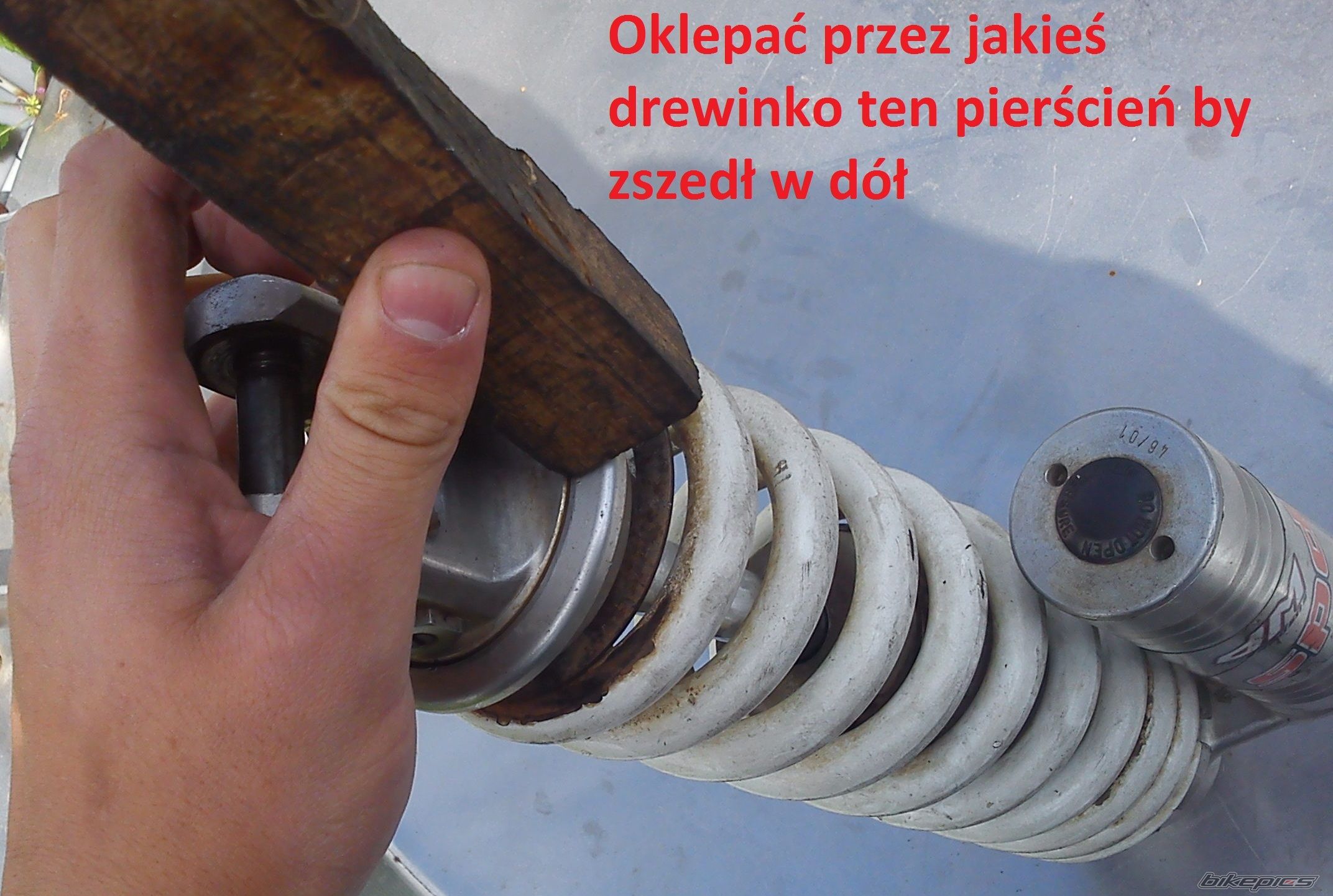 Photo 2451910