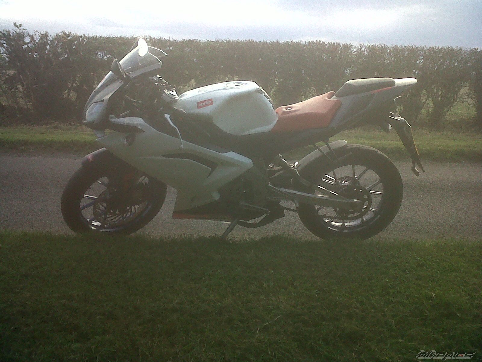 Photo 2451930