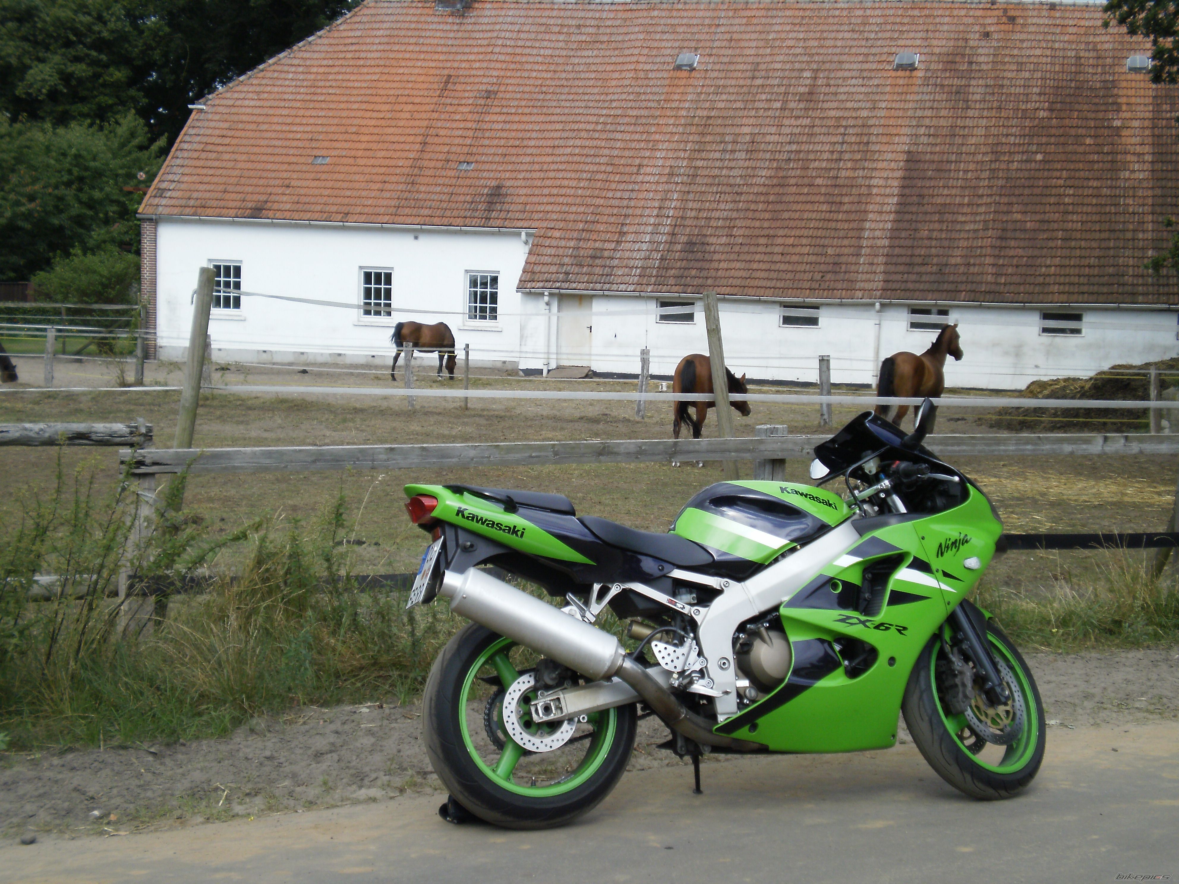 Photo 2451933