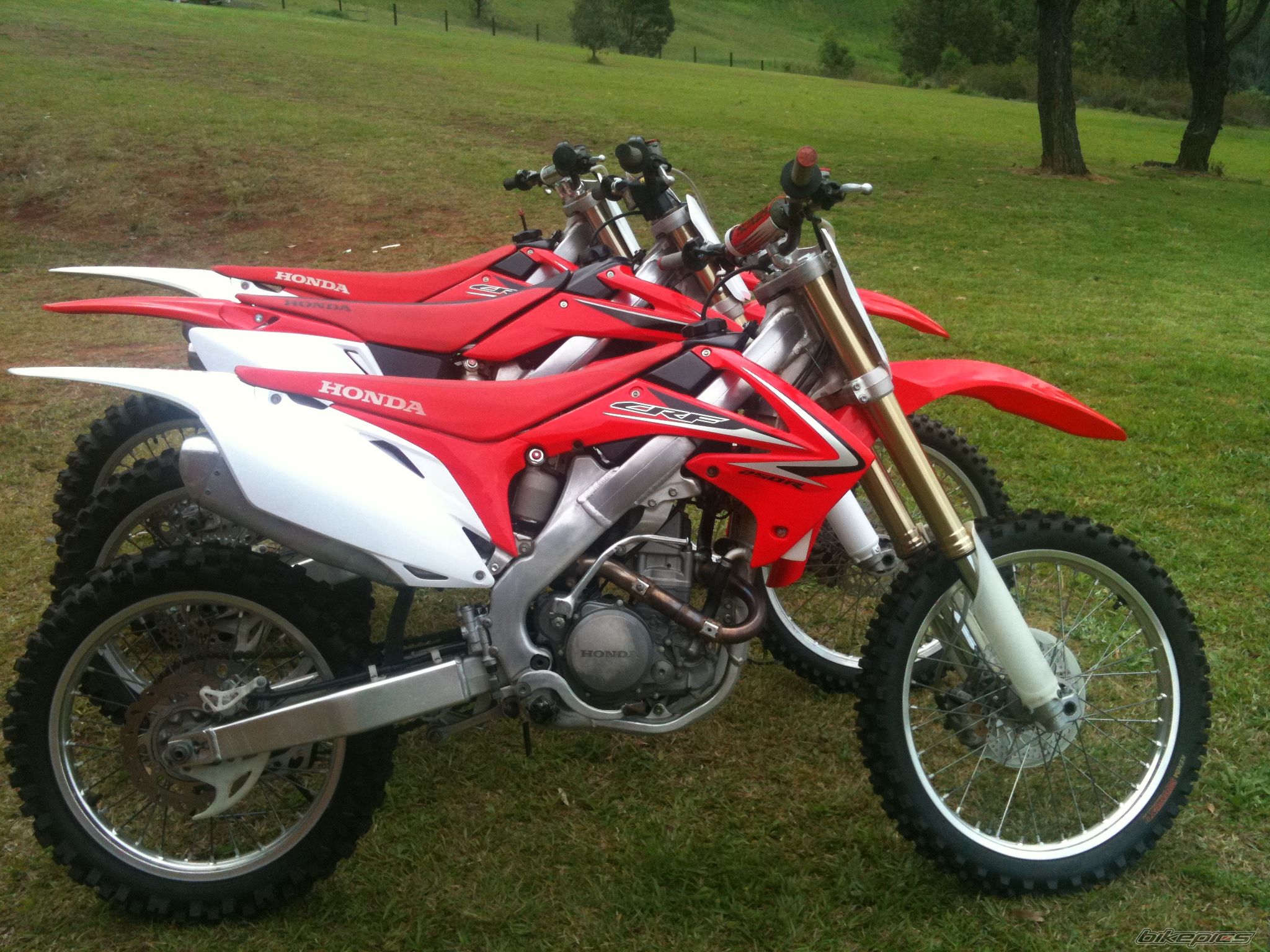 Photo 2452251