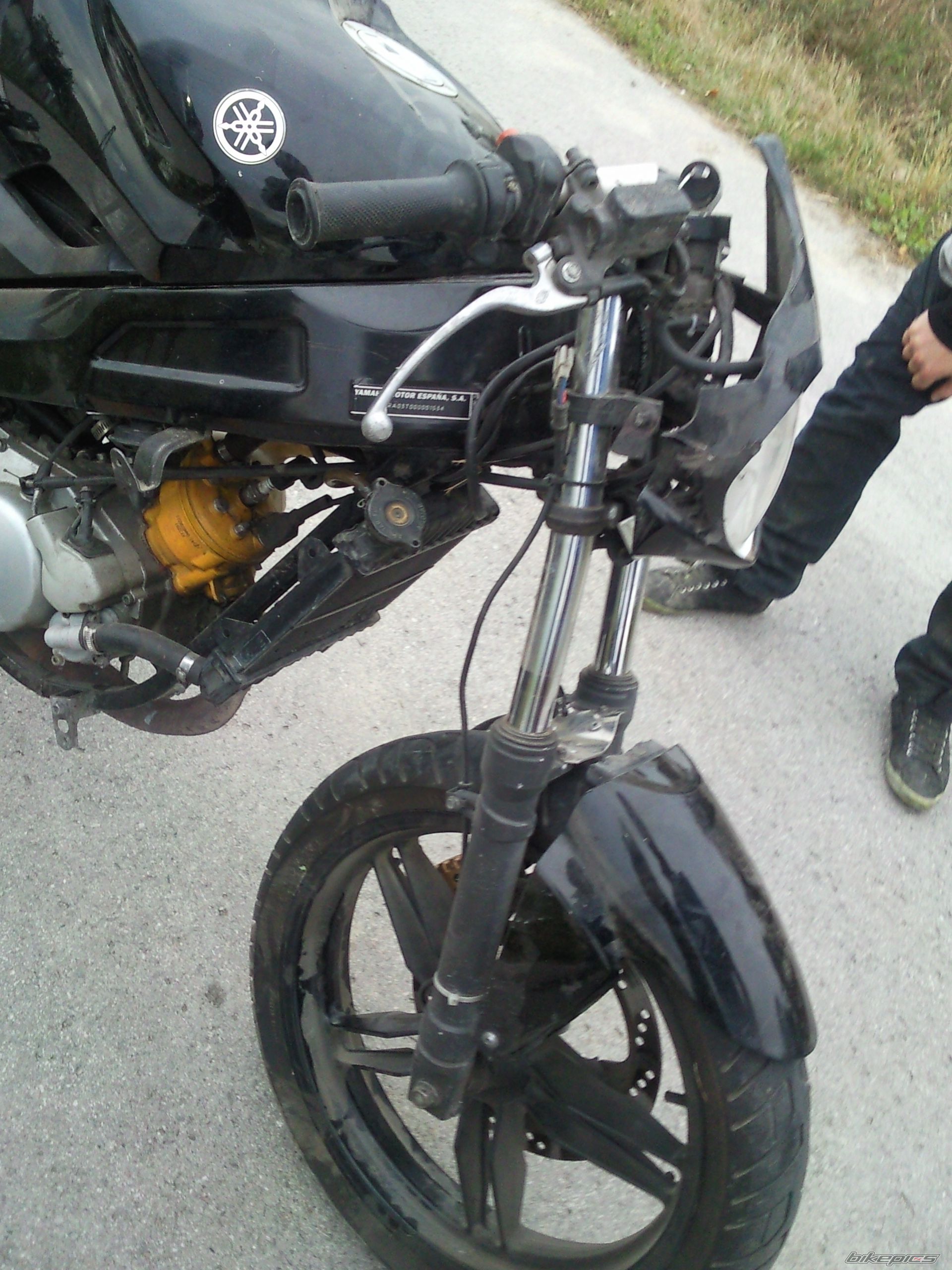 Photo 2452279