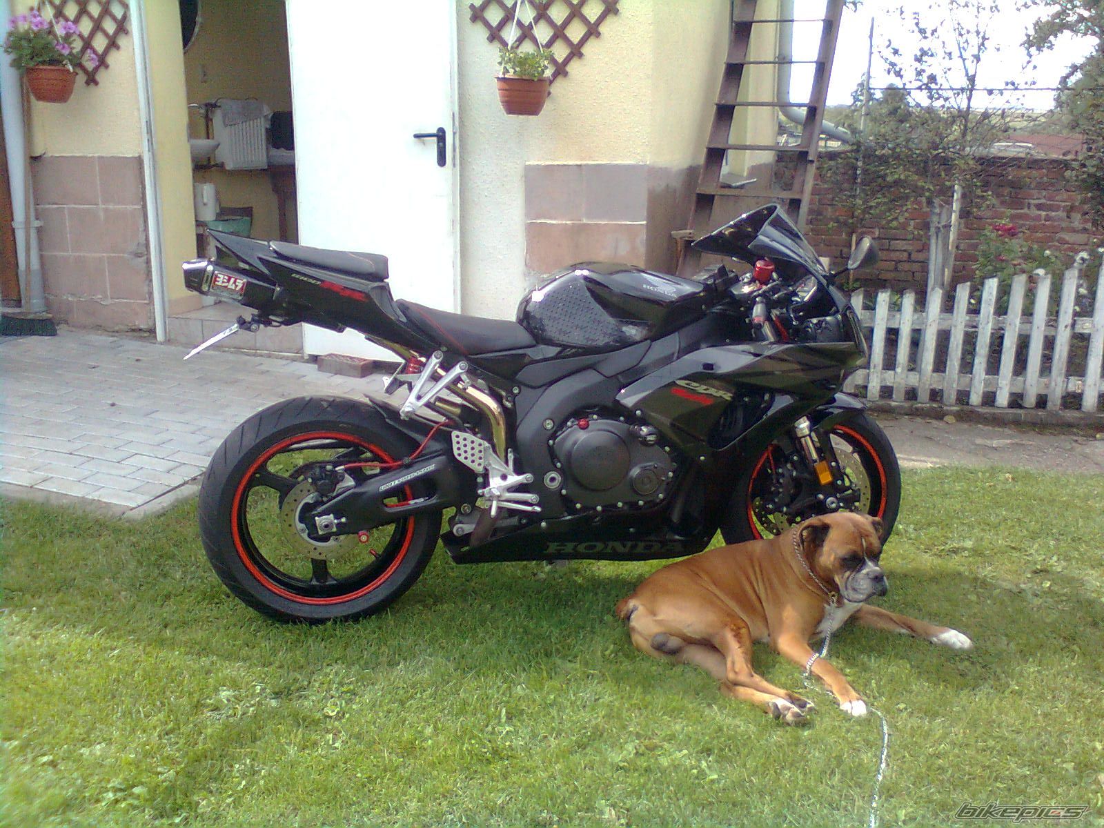 Bike Photo 2452290