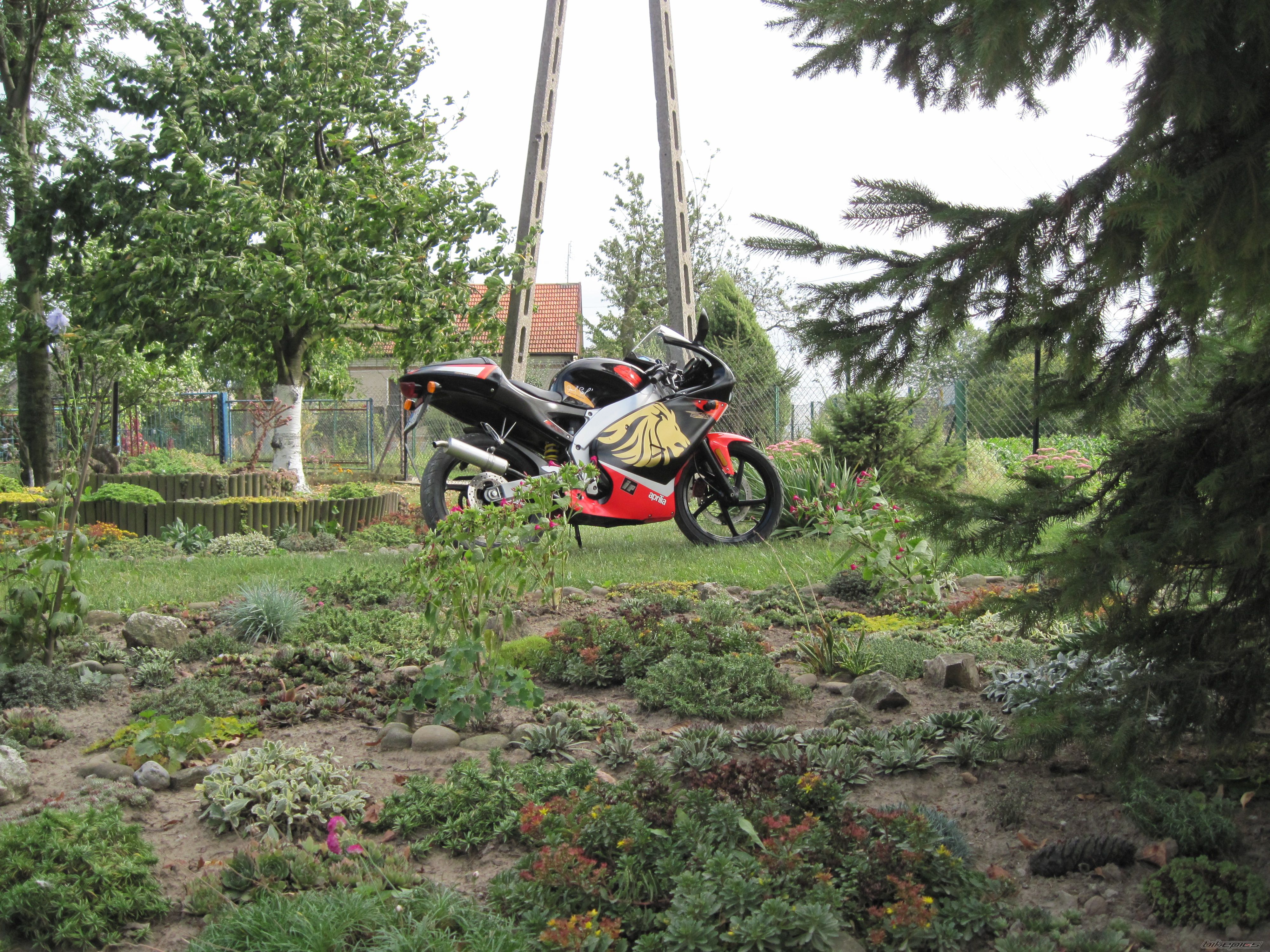 Bike Photo 2452294