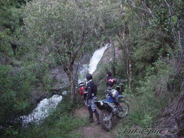 Photo 245231