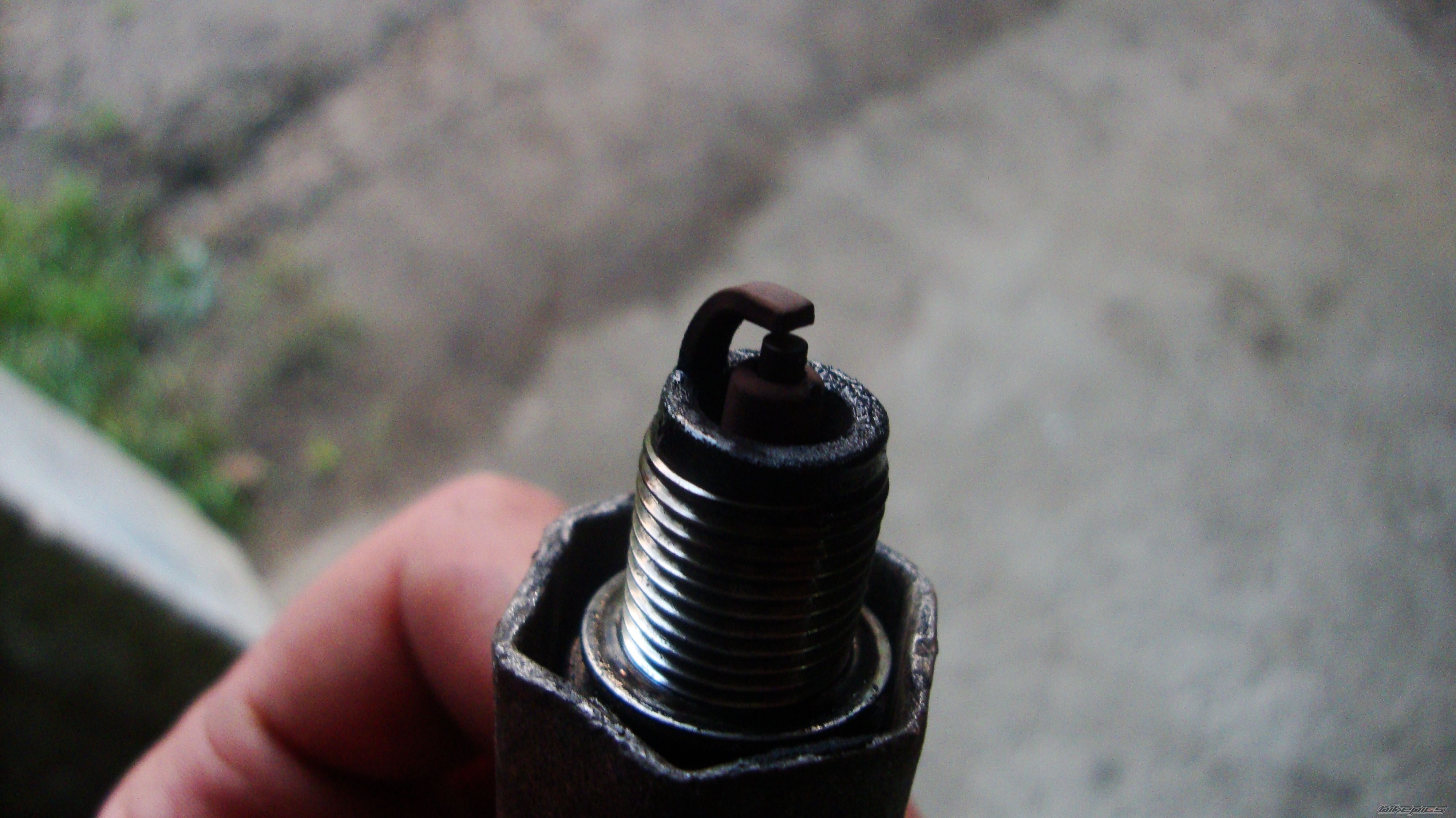 Photo 2452318