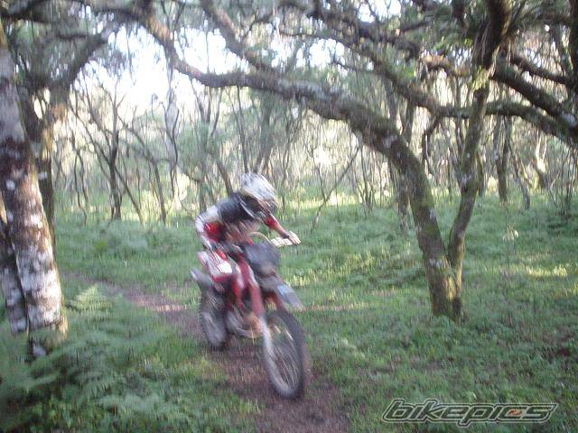 Photo 245232