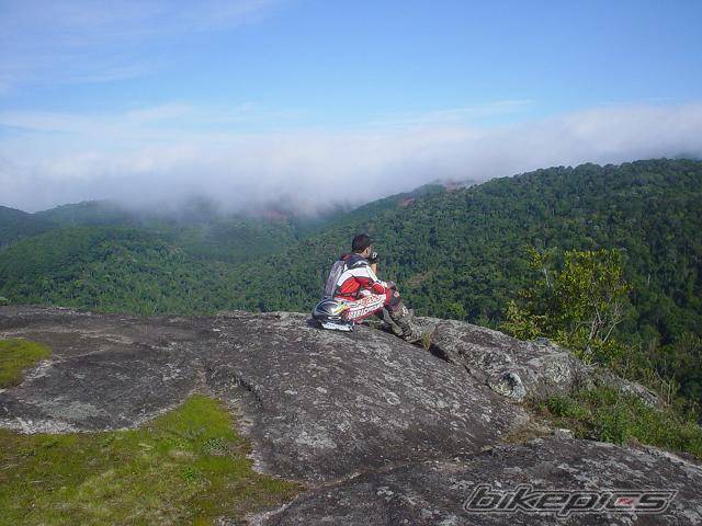 Photo 245234