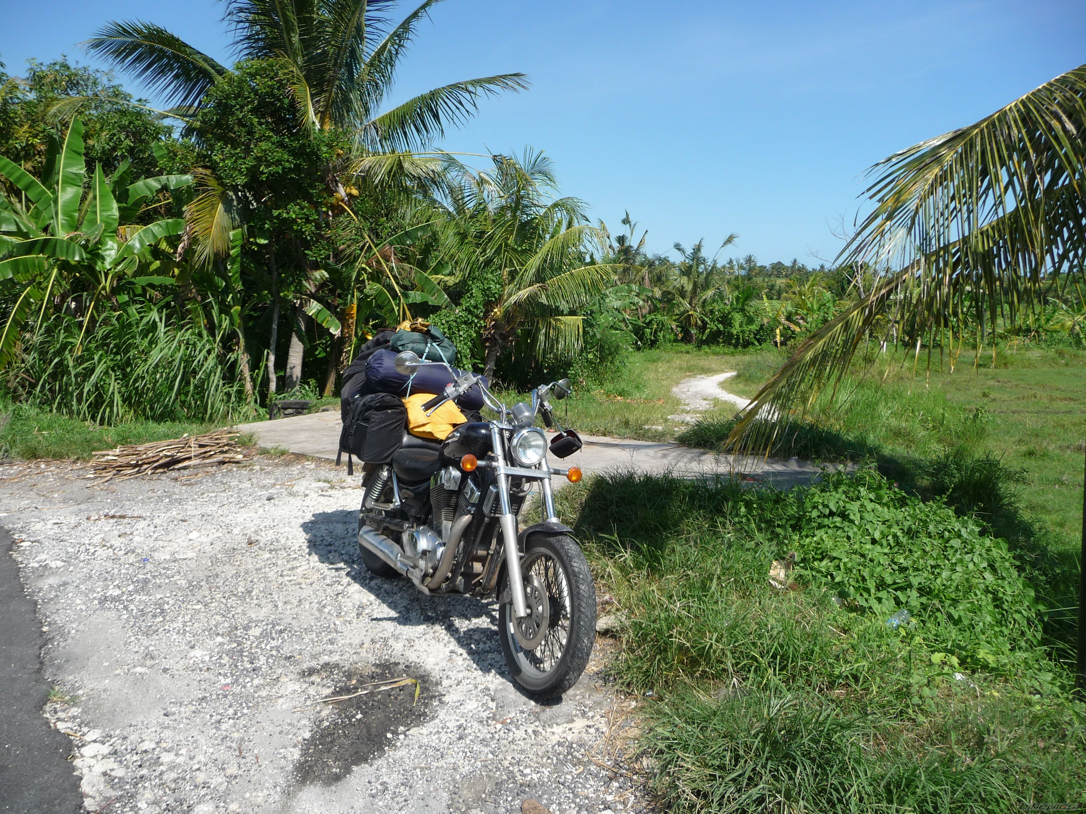 Photo 2452355