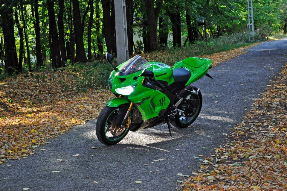 Photo 2452373