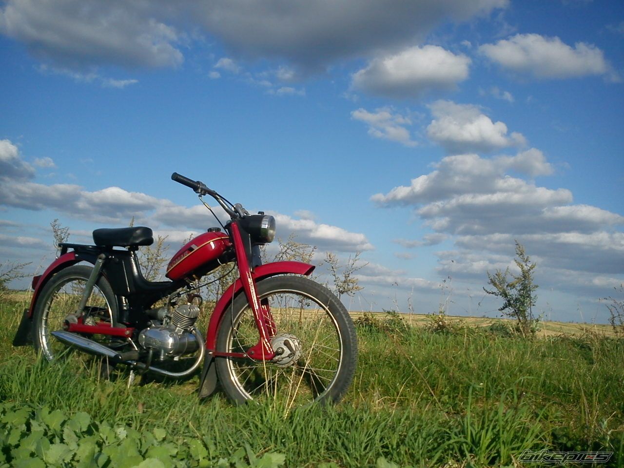 Photo 2452475