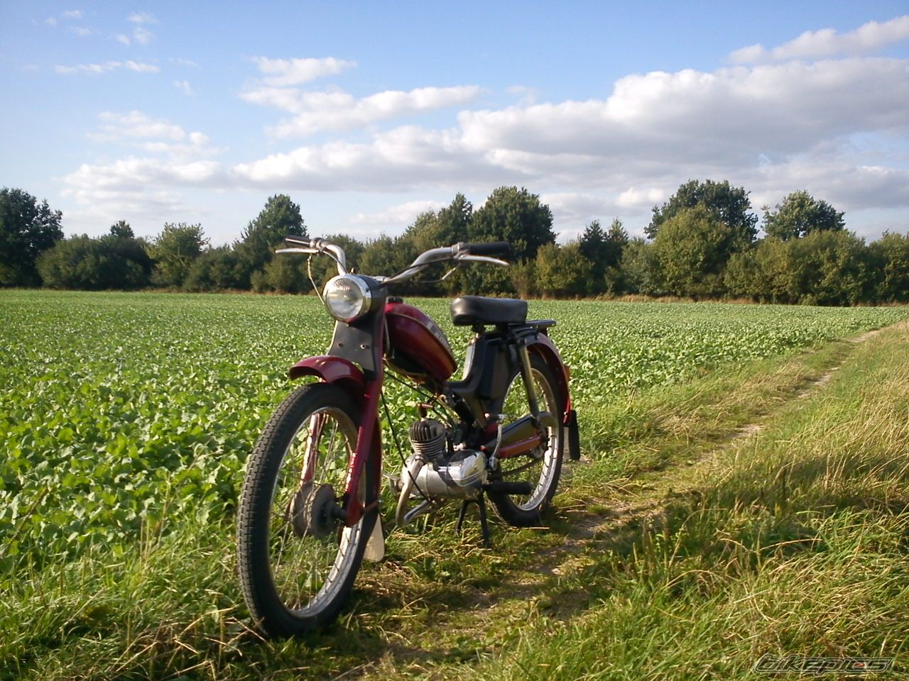 Photo 2452476