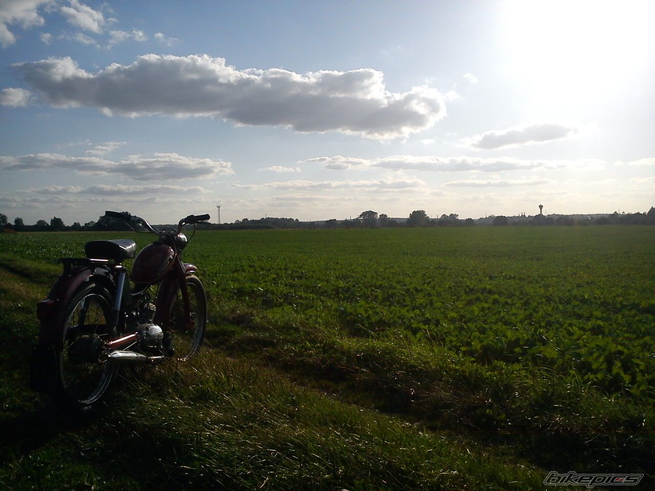 Photo 2452488