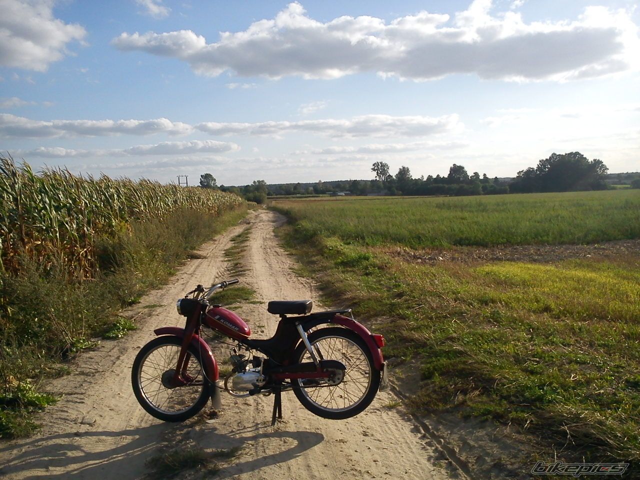 Photo 2452489