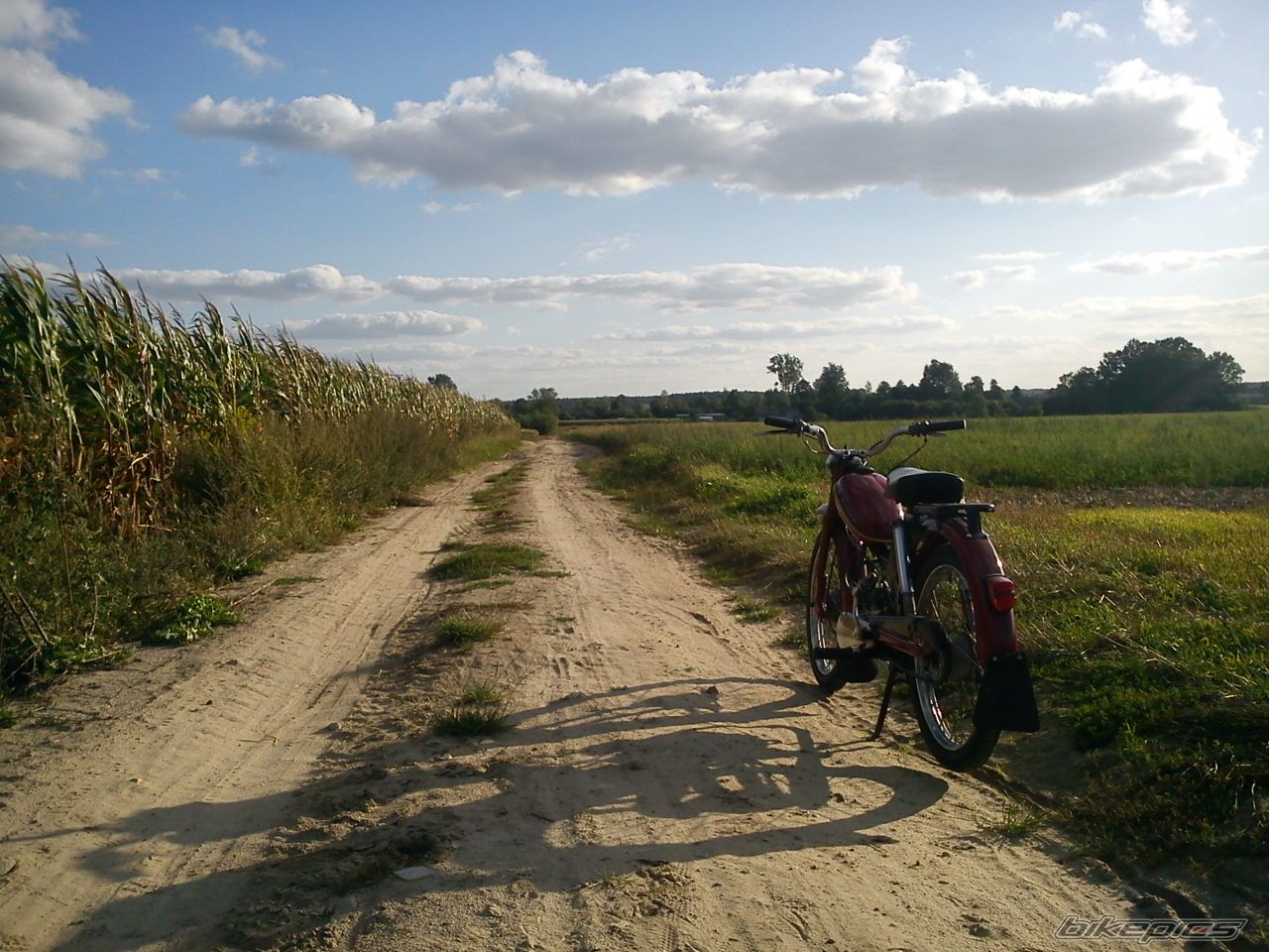 Photo 2452490
