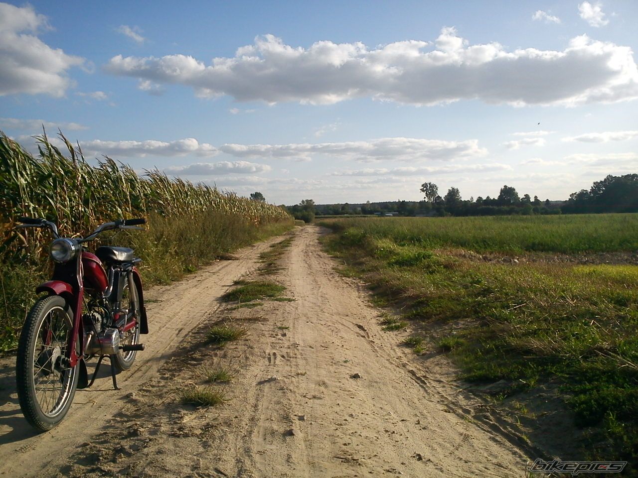Photo 2452492