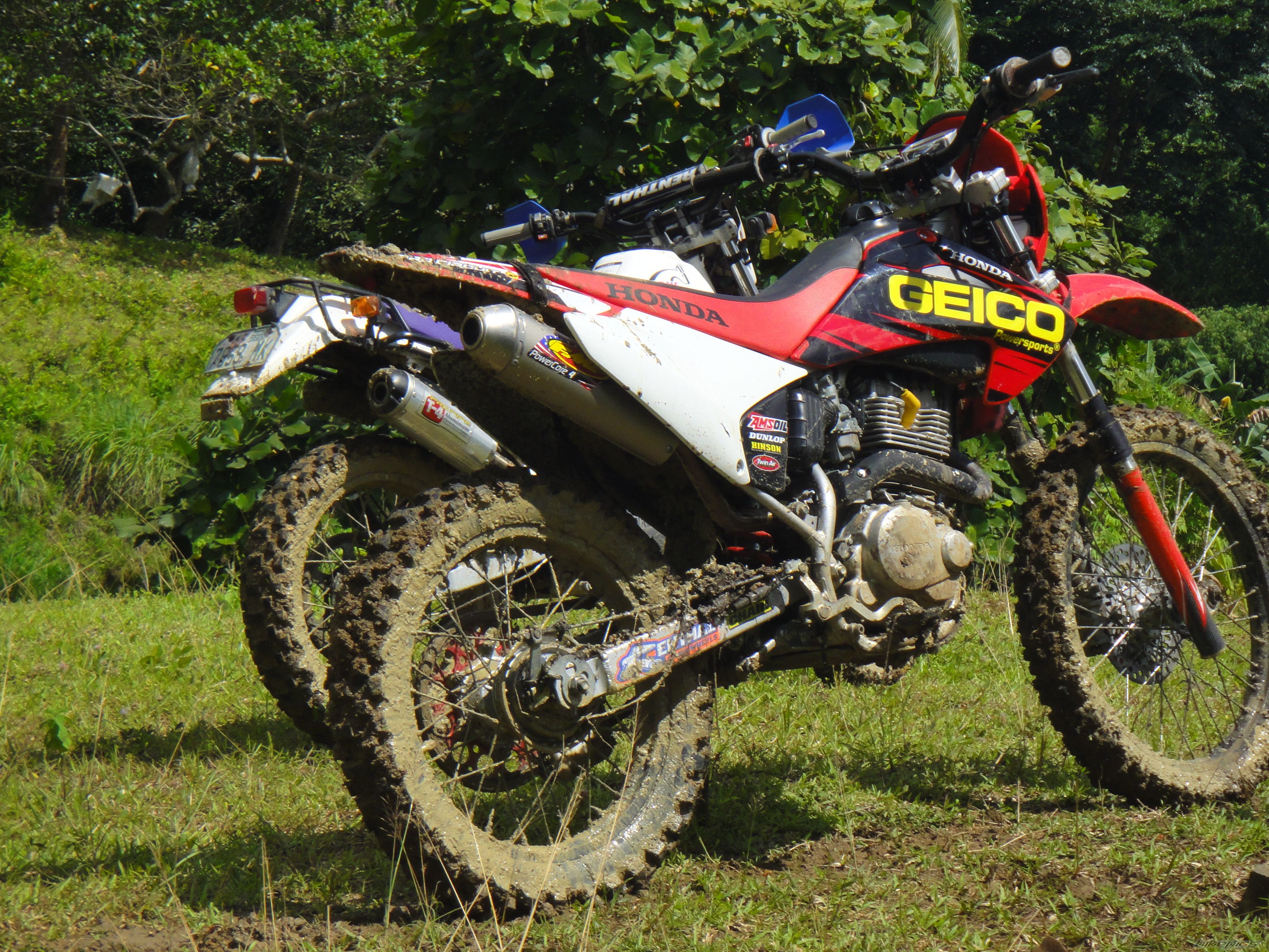 Photo 2452493