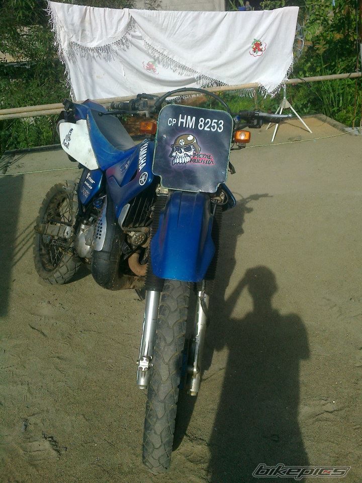 Photo 2452513