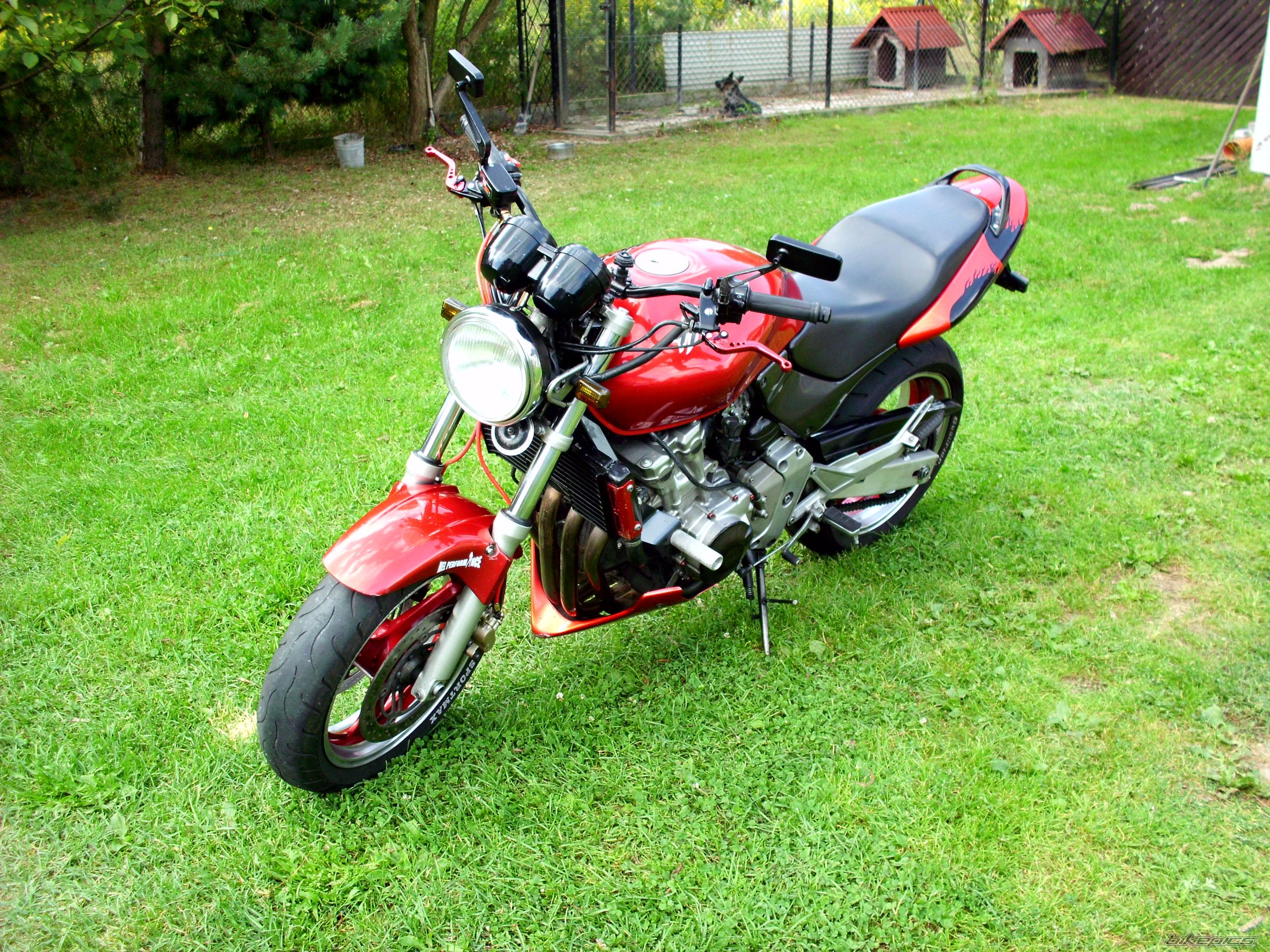 Photo 2452549