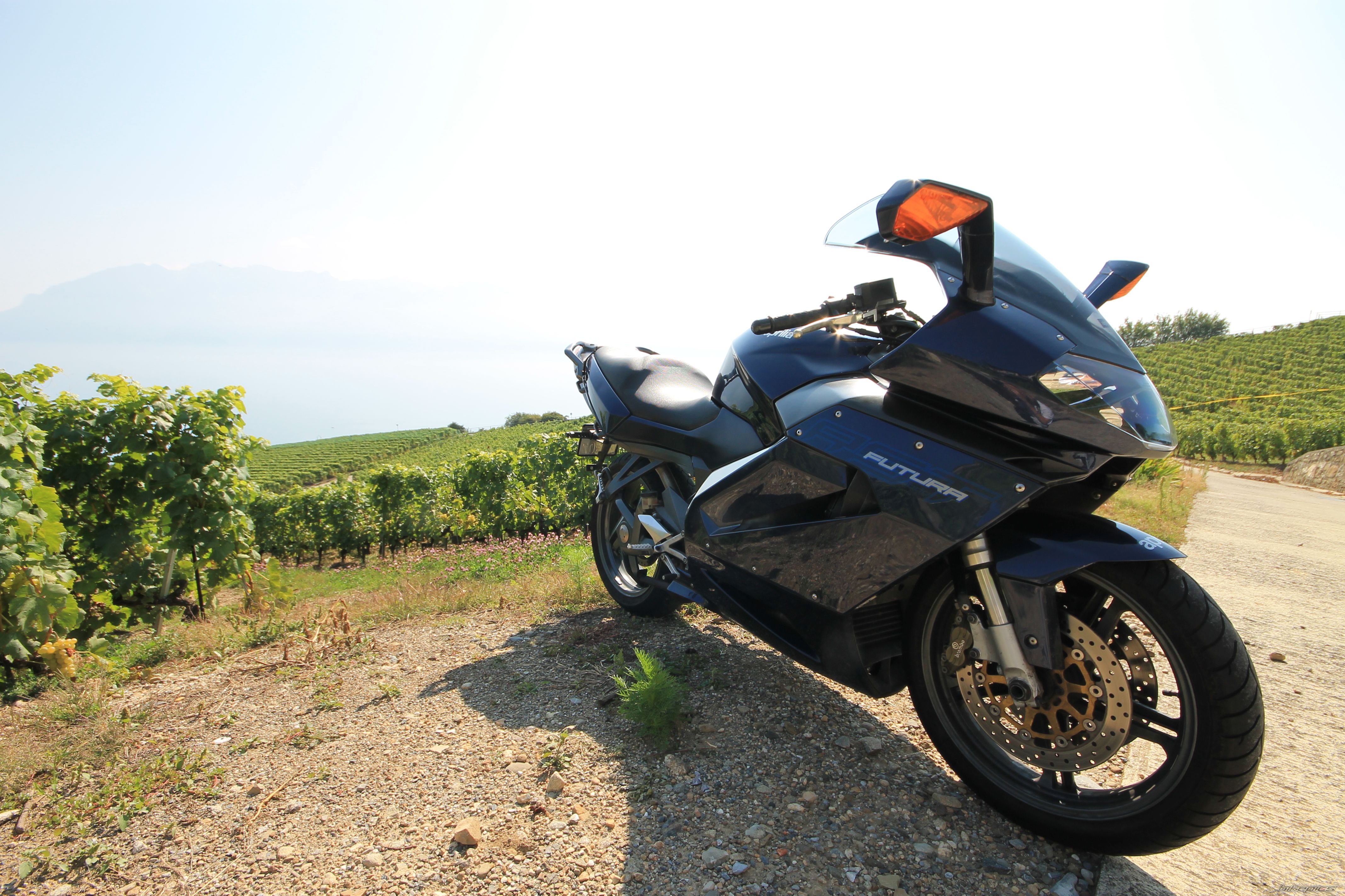 Photo 2452612