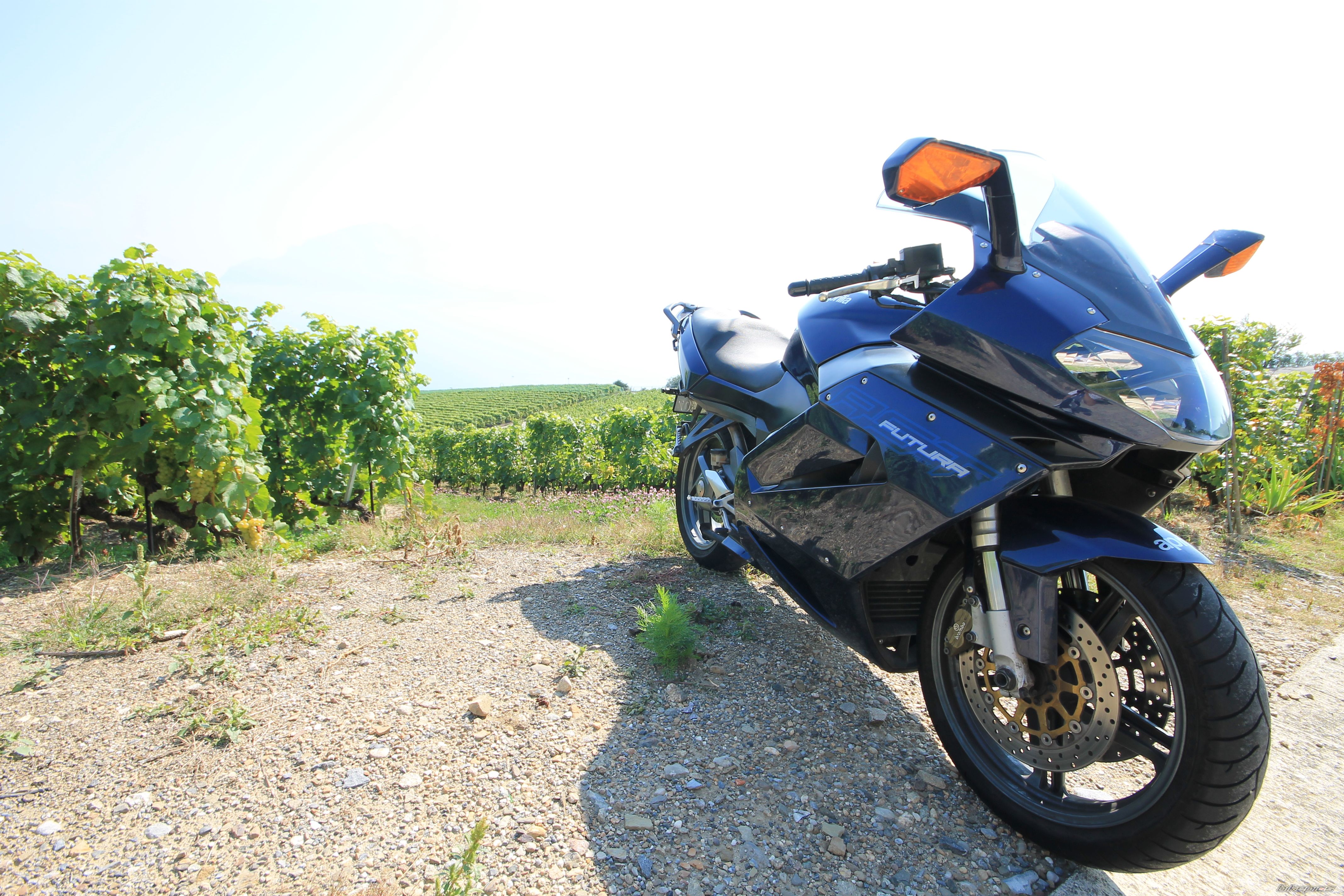 Photo 2452618