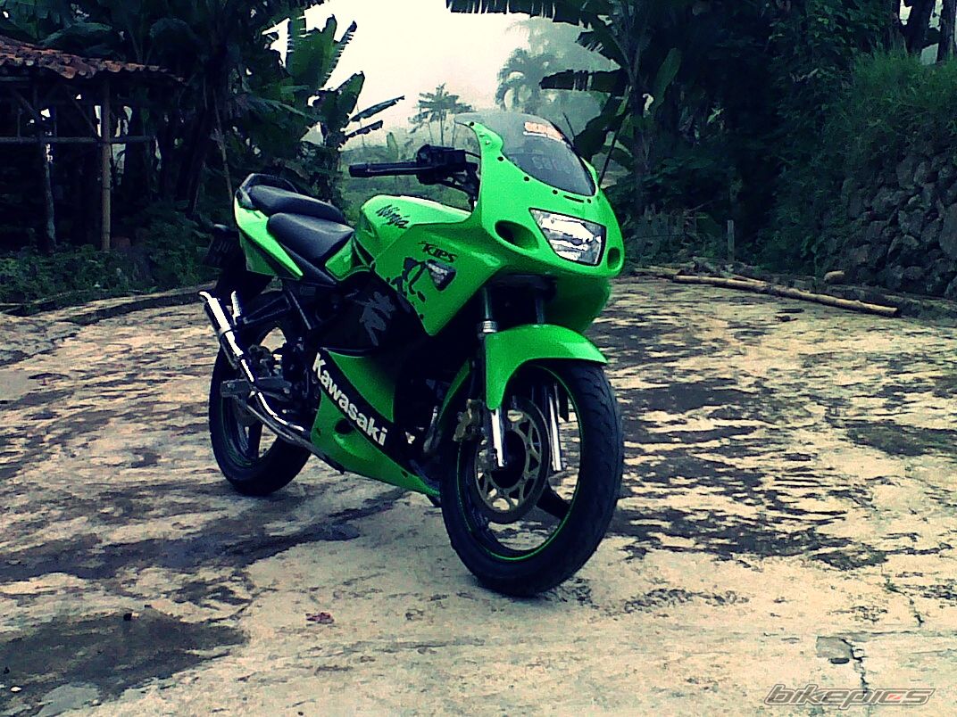 Photo 2452628