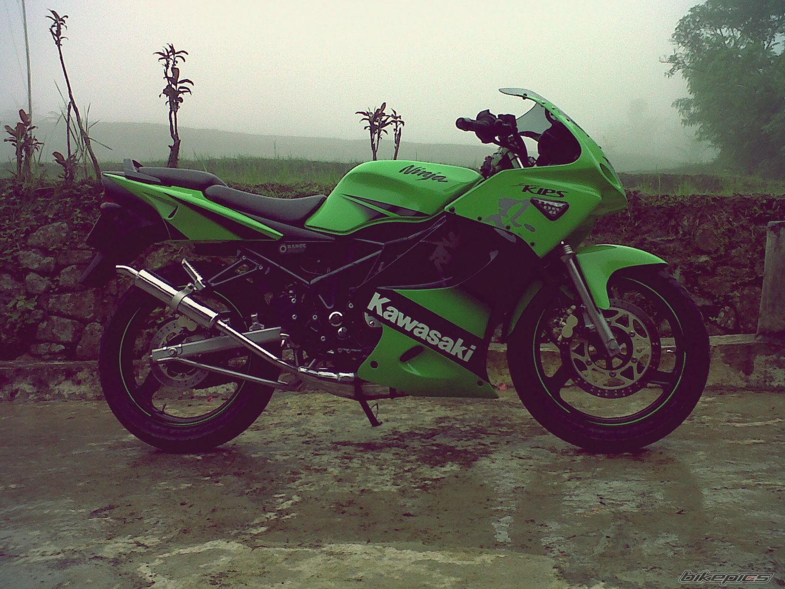 Photo 2452637