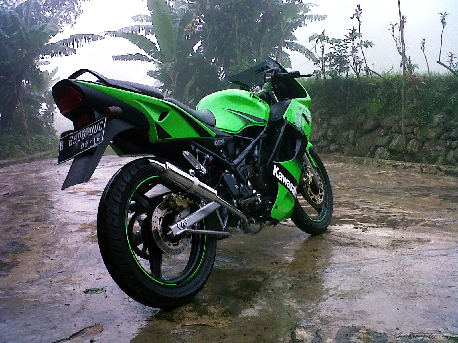 Photo 2452639