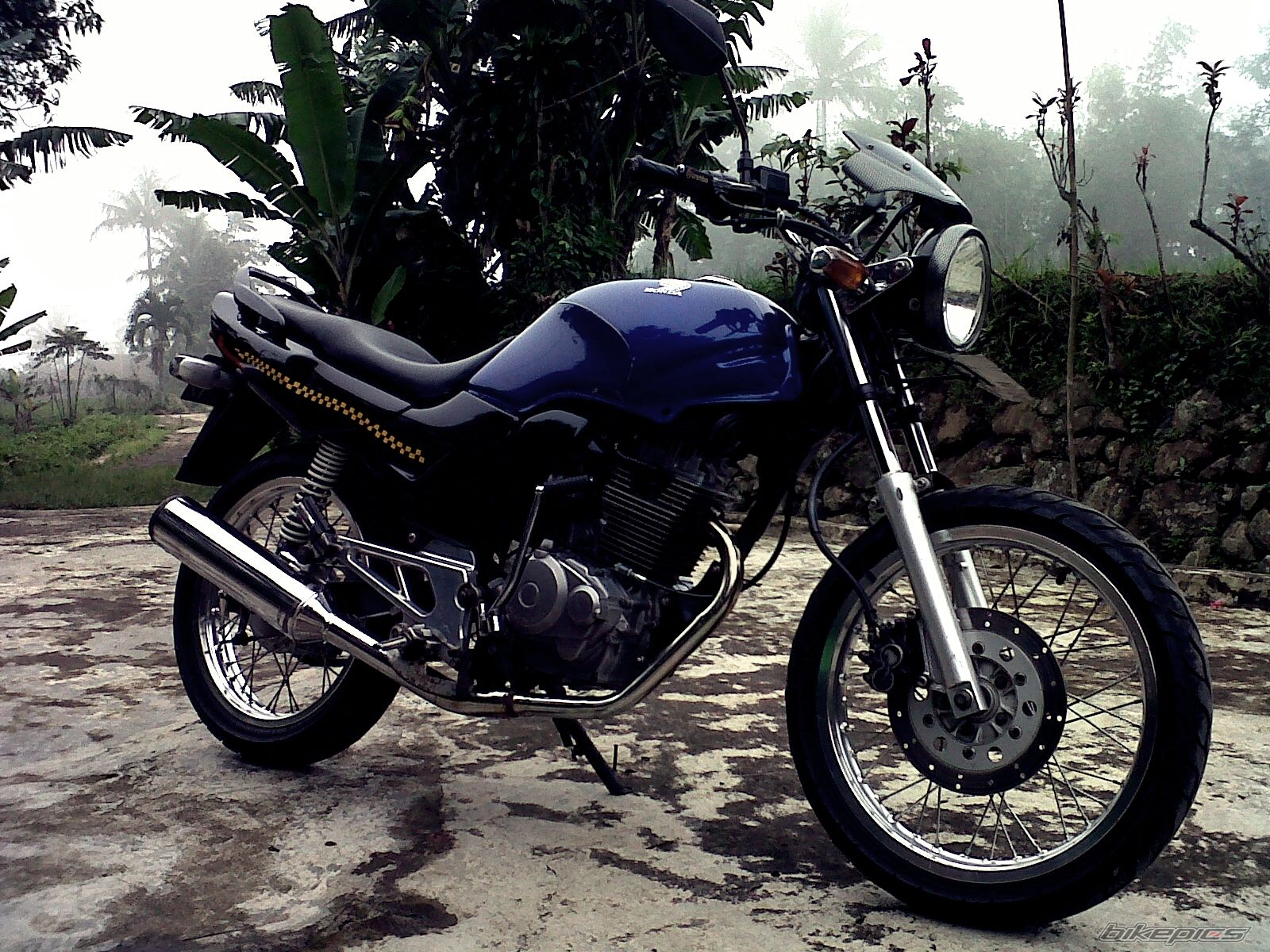 Photo 2452659