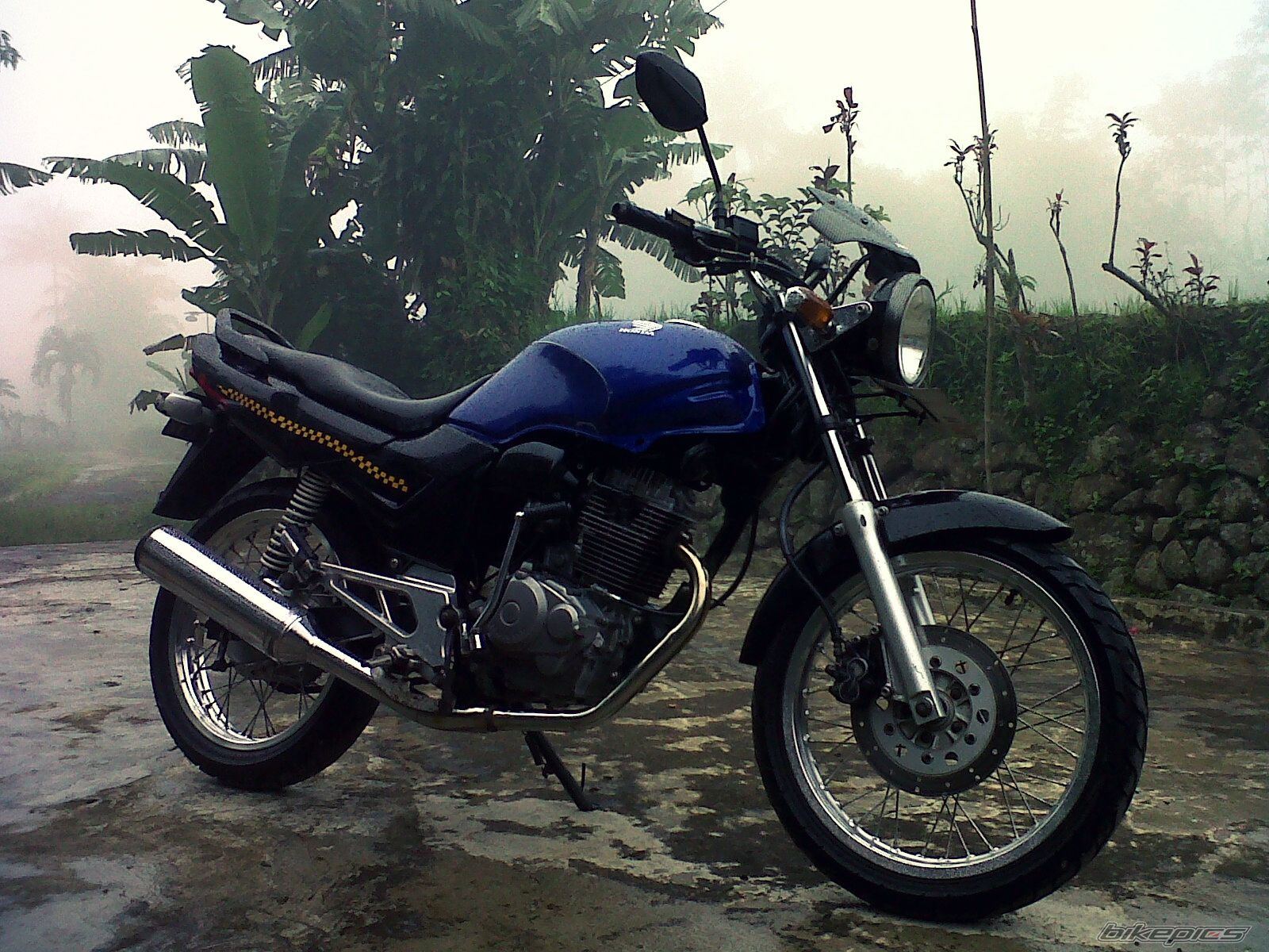 Photo 2452662