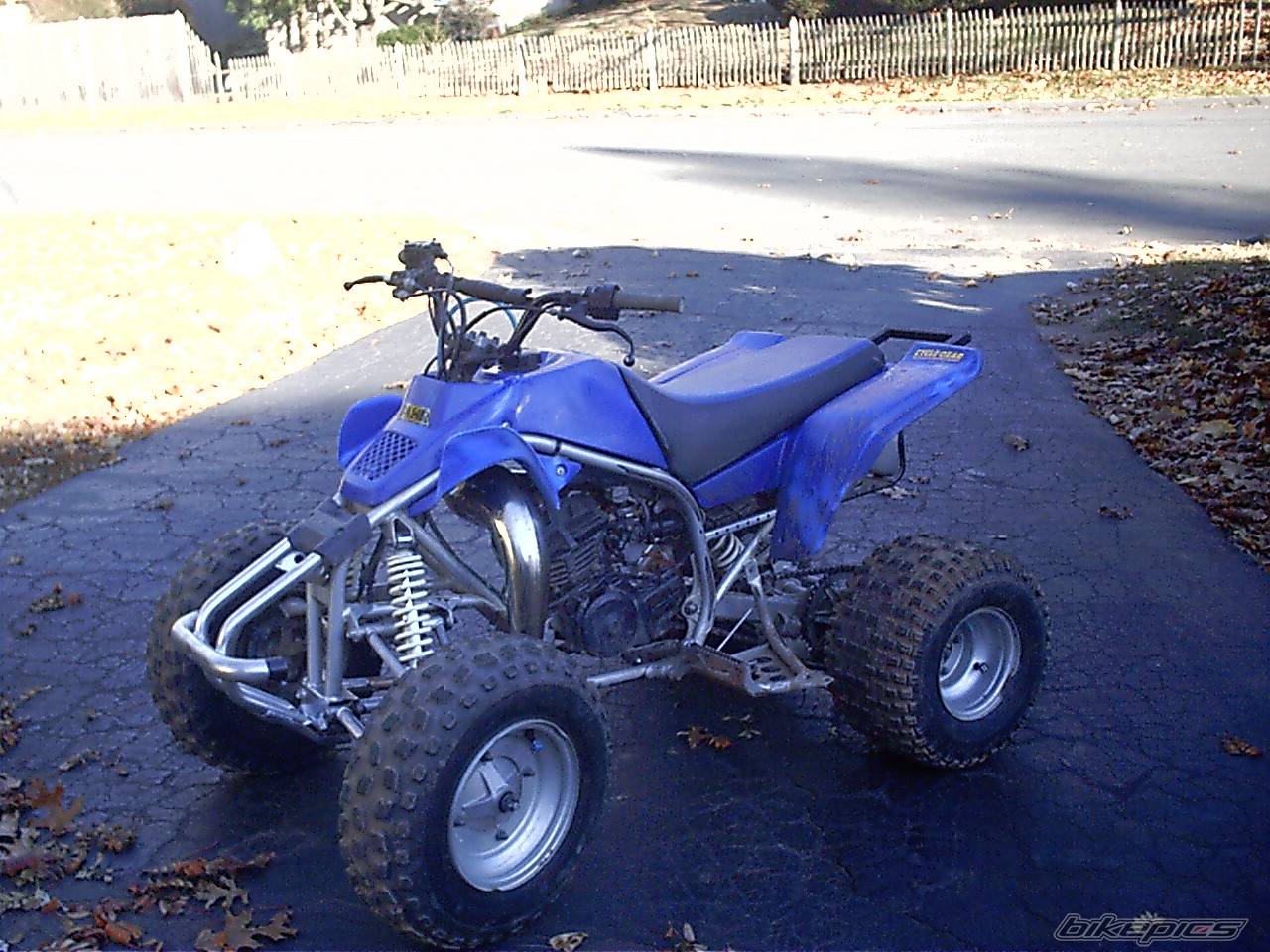 Photo 245268
