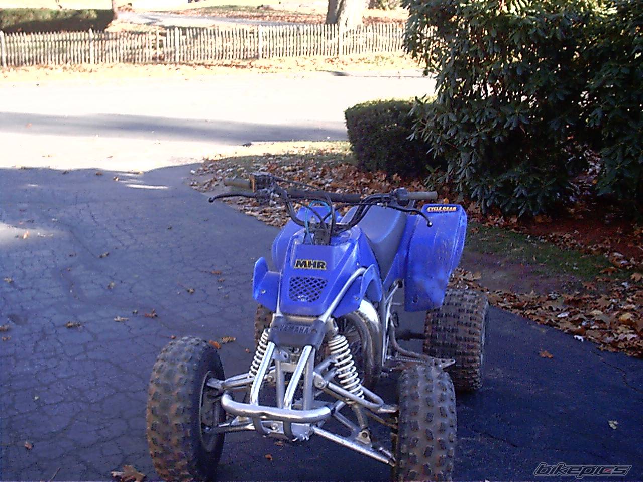 Photo 245269