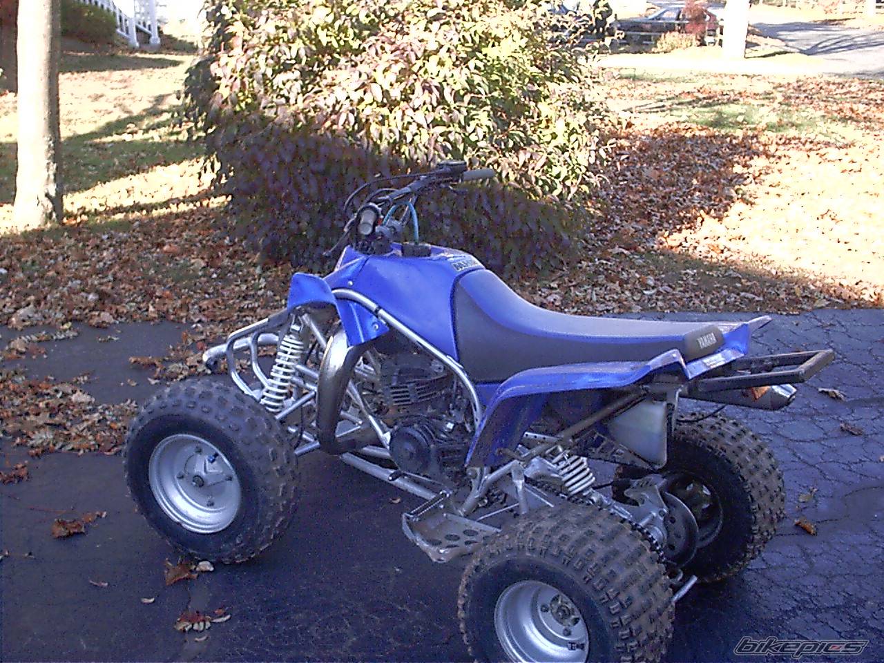 Photo 245270