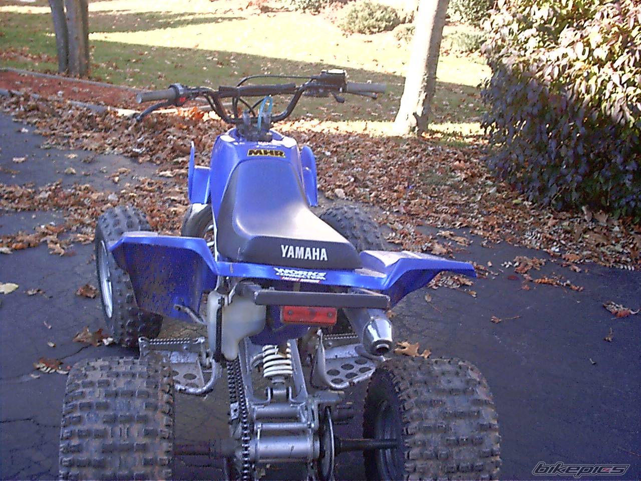 Photo 245271