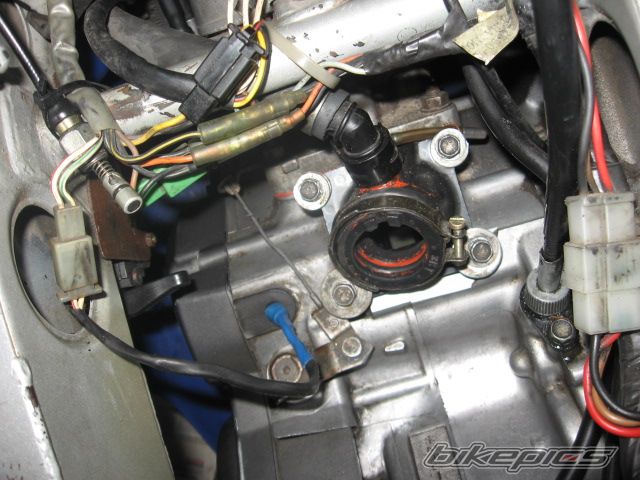 Photo 2452712