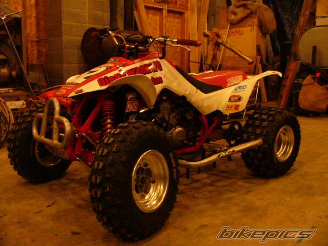 Photo 245272