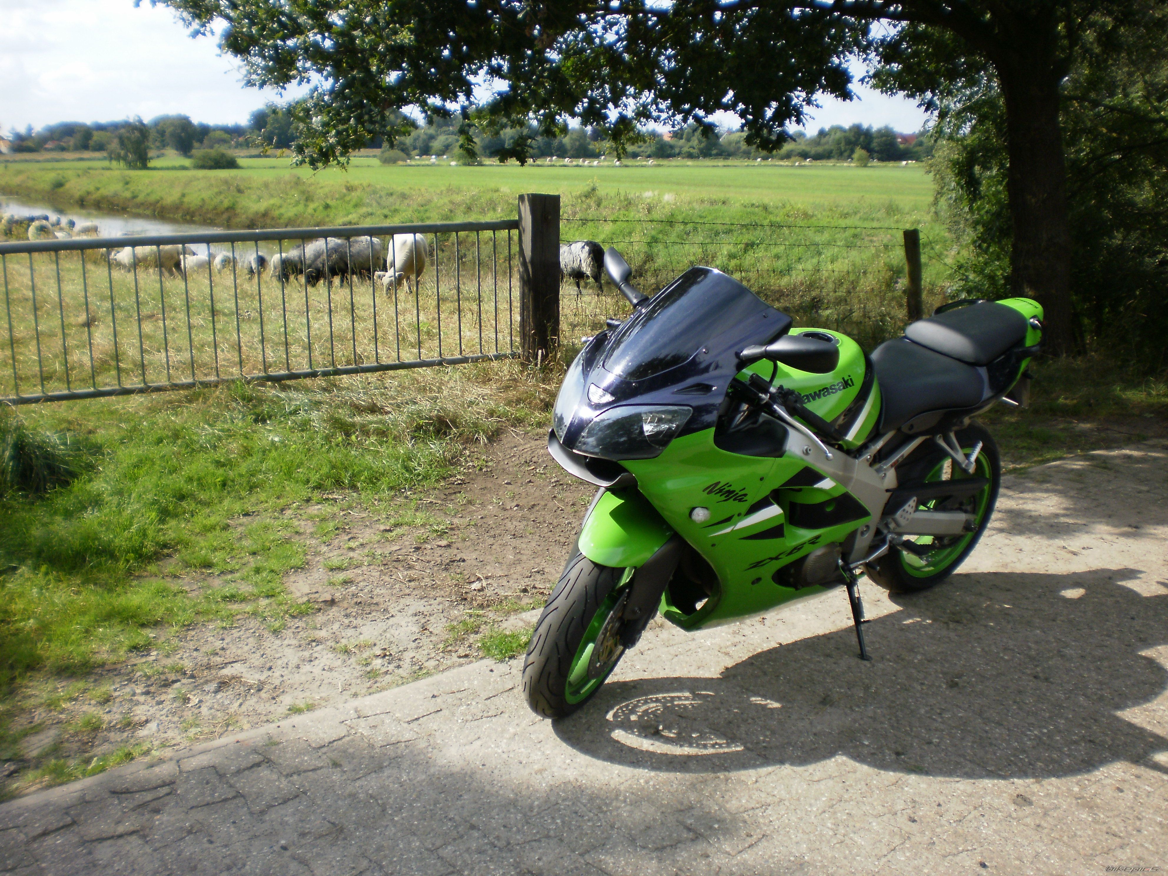 Photo 2452759
