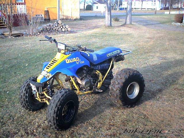 Photo 245276