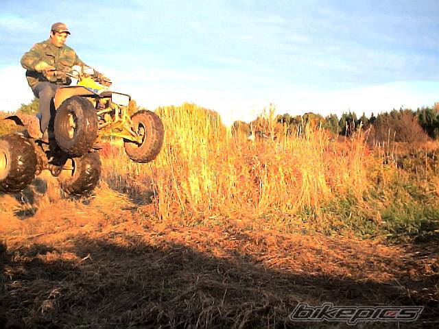 Photo 245277